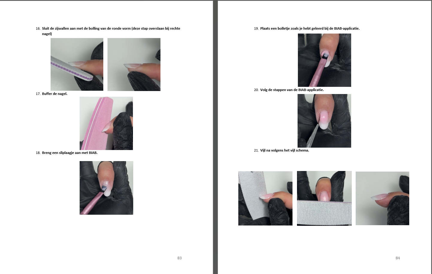 BIAB Lesboek (Handleiding)